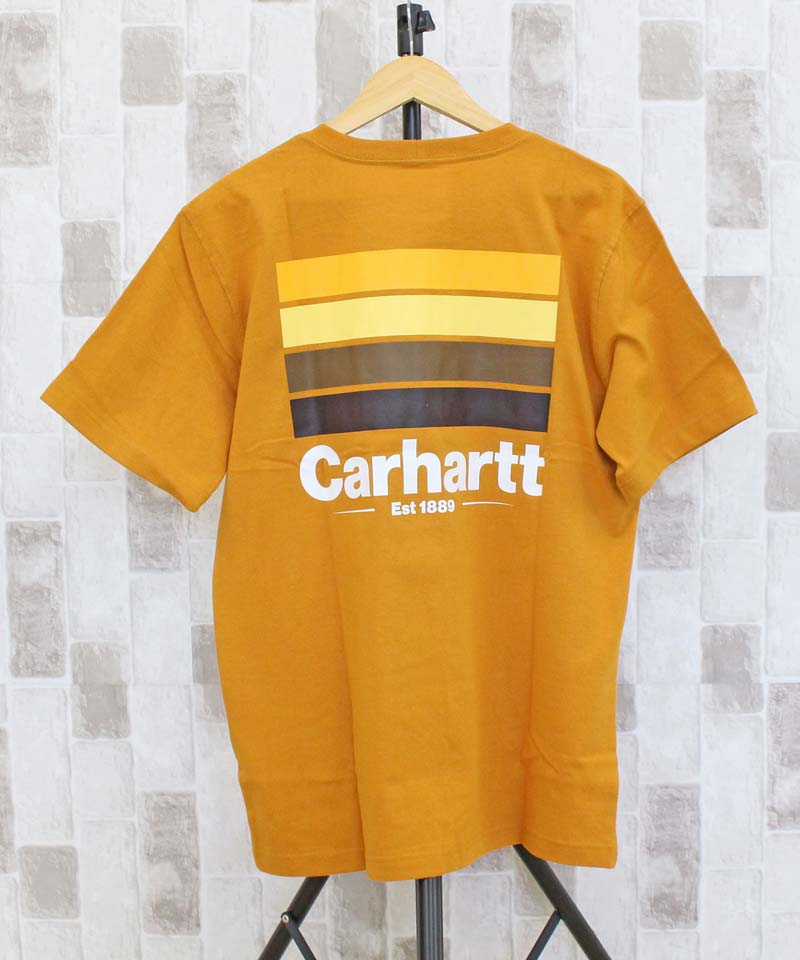 Carhartt カーハート リラックスフィットLineグラフィックバック