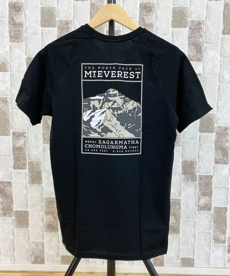 THE NORTH FACE MENS TEE ザ ノースフェイス バックプリント