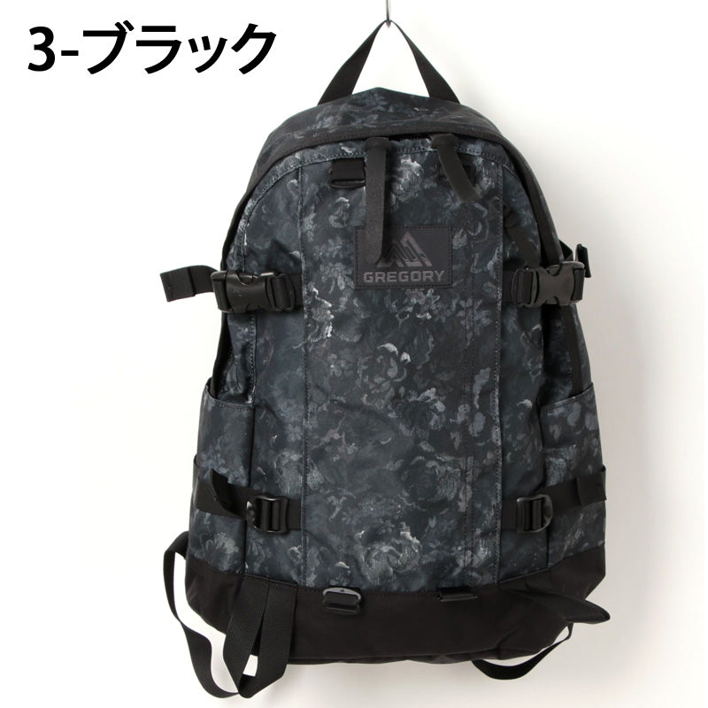 GREGORY グレゴリー オールディ バックパック リュック All Day
