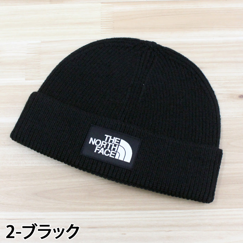 THE NORTH FACE ザ ノースフェイス ビッグロゴビーニー ニット帽 暖か