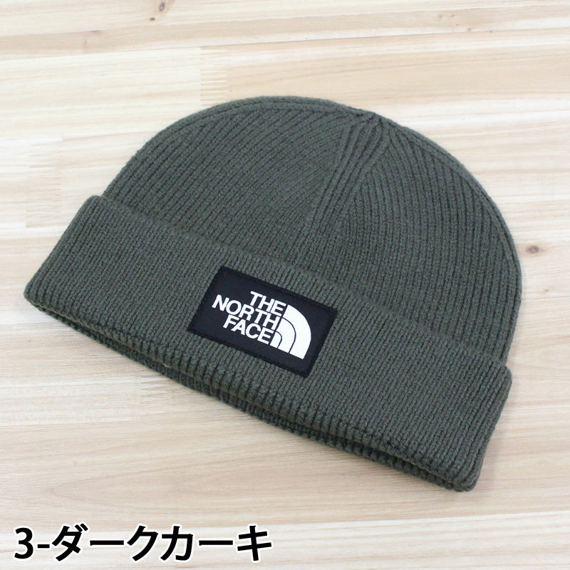 THE NORTH FACE ザ ノースフェイス ビッグロゴビーニー ニット帽 暖か