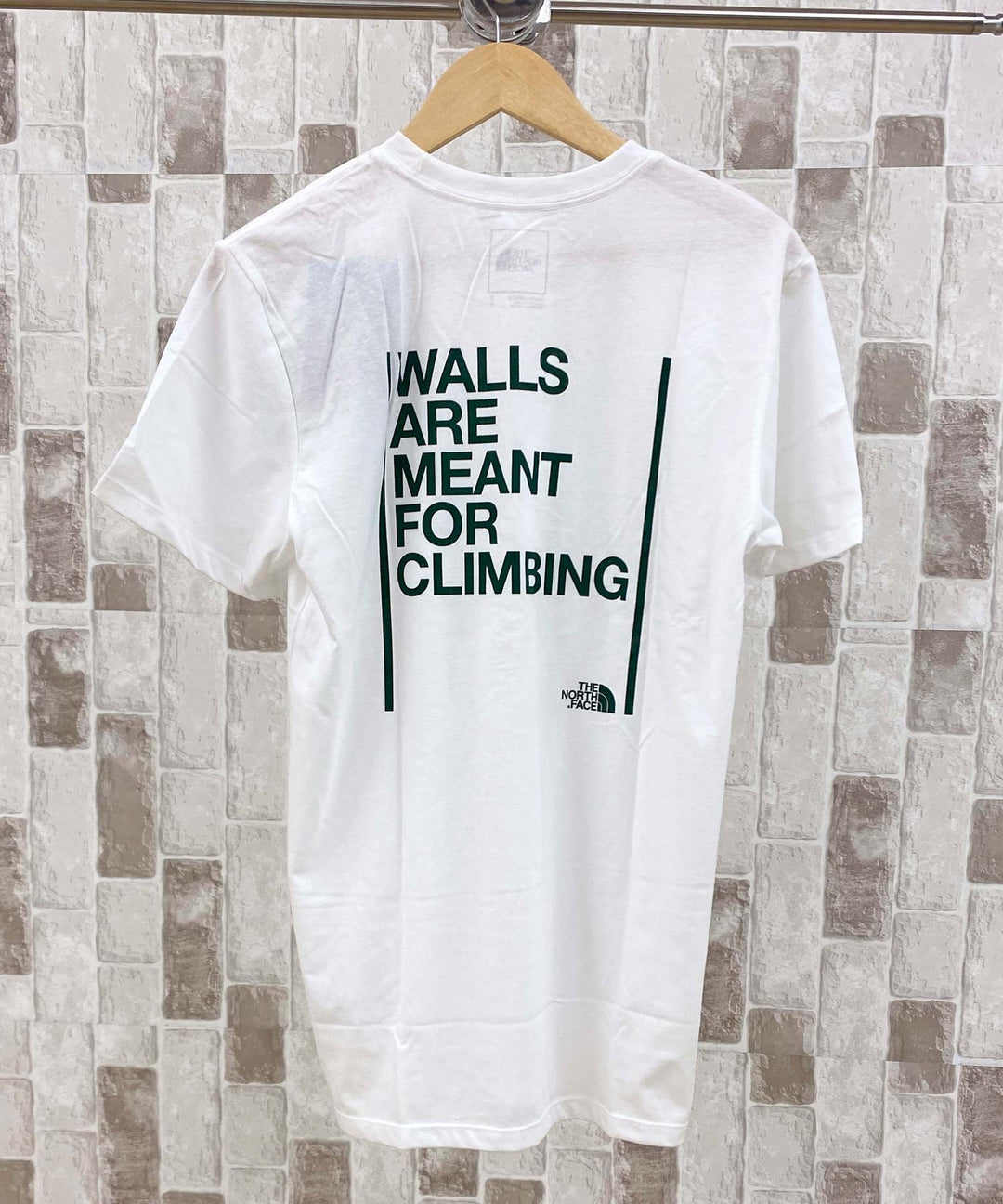 THE NORTH FACE ノースフェイス CLIMBING バックプリント 半袖 Tシャツ