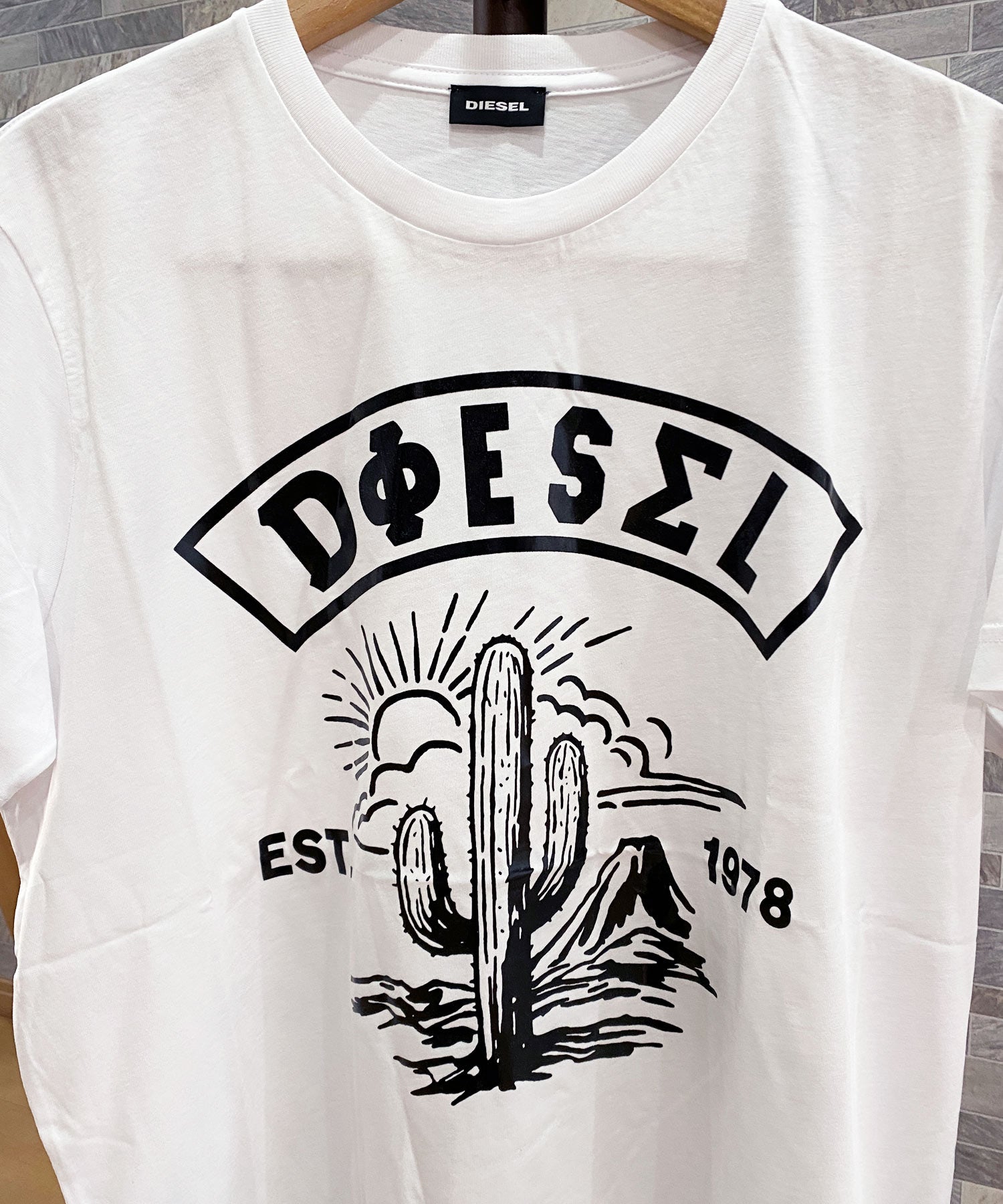 【新品未使用品】DIESEL T-DIEGO-S13 Tシャツ L ①