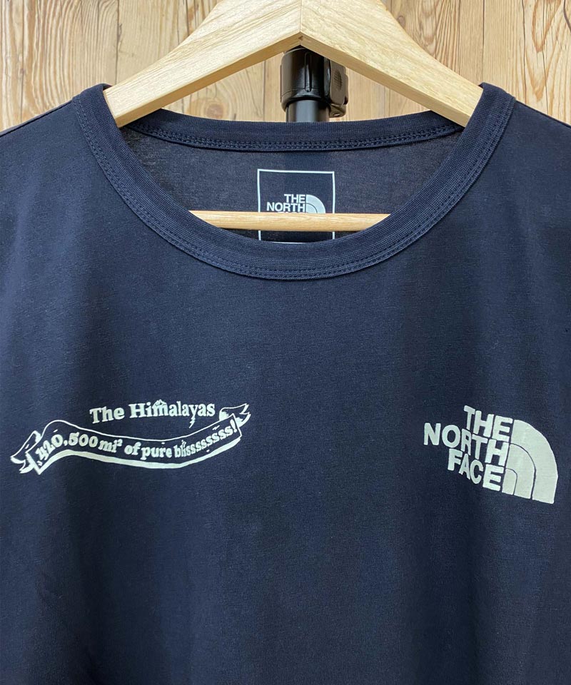 THE NORTH FACE ノースフェイス スリーブロゴ ヒマラヤンボトル クルーネックロングTシャツ – TopIsm