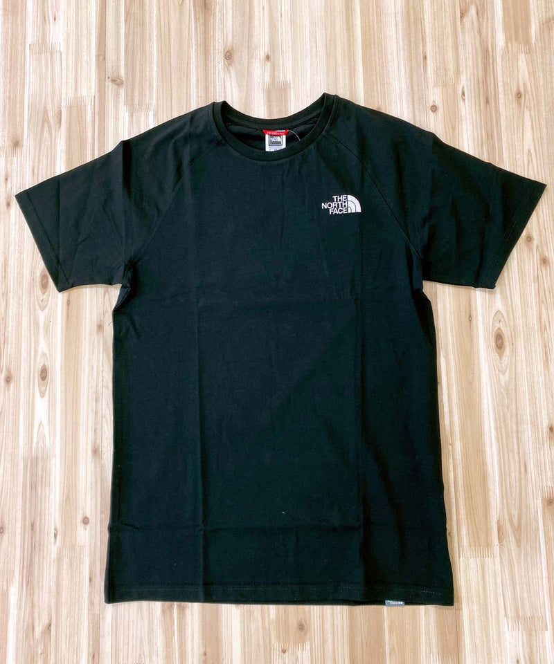 THE NORTH FACE MENS TEE ザ ノースフェイス バックプリント